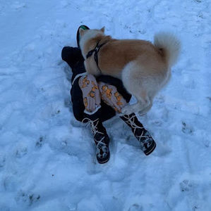 Meet your Posher, Iryna